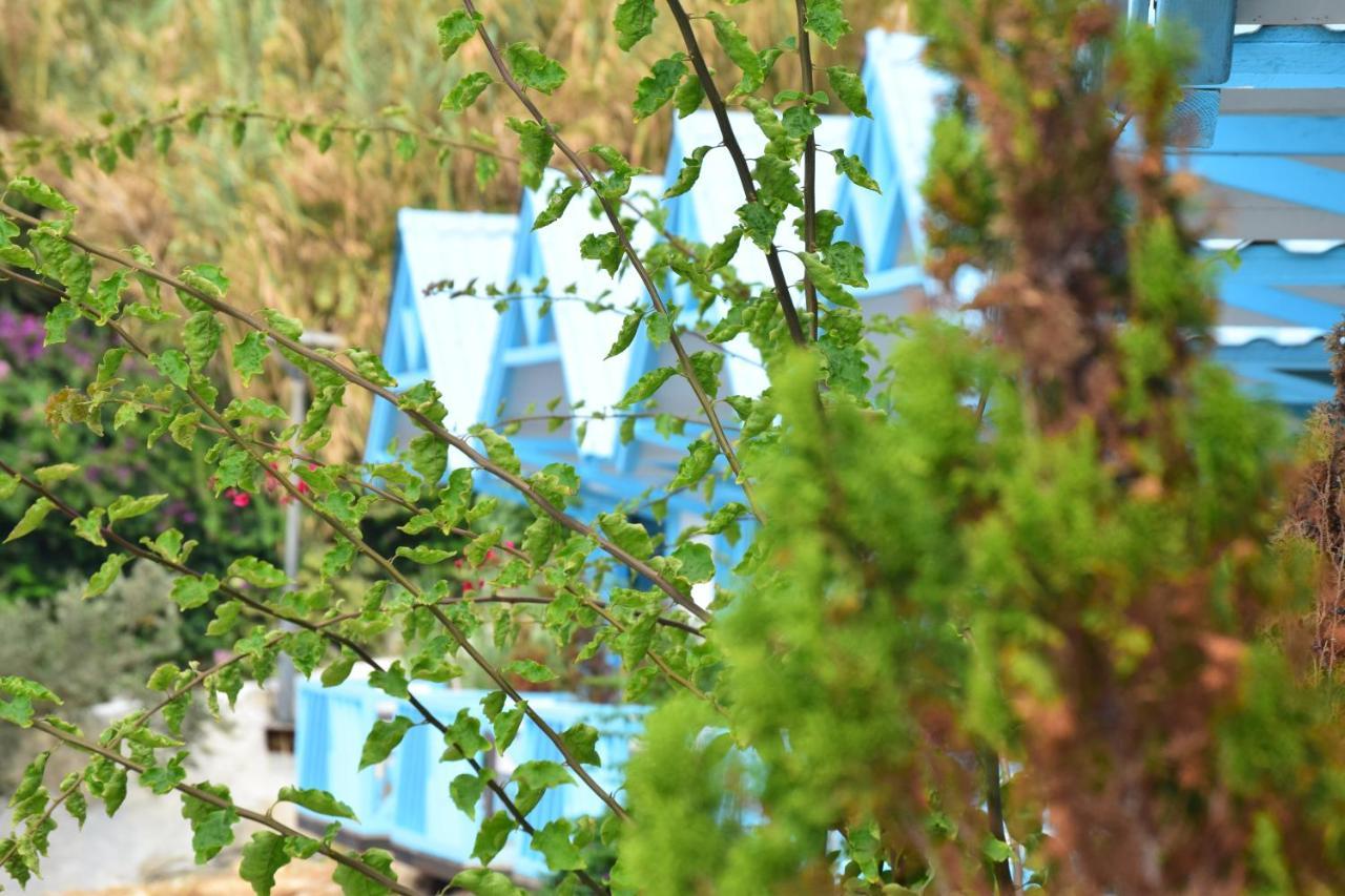 Cflow Beach Resort Byblos Eksteriør bilde